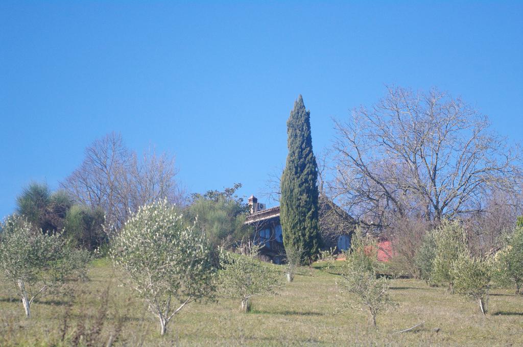 La Casa Sopra Le Nuvole Villa Medesano Exterior photo